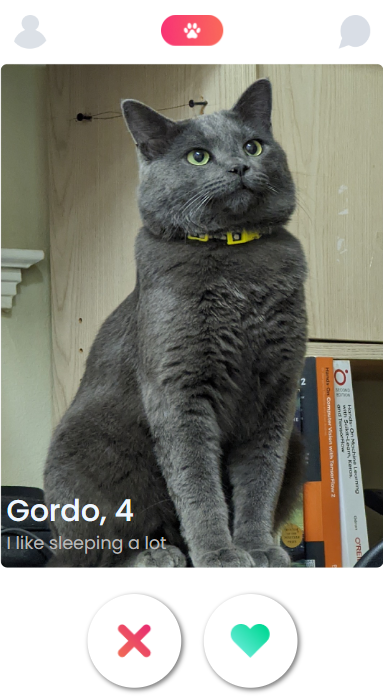 Tindog image