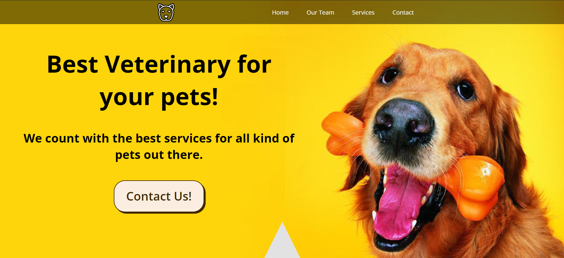 Vet image